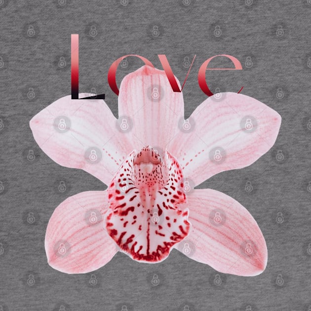 Light Pink Orchid with Text Love by ArtMorfic